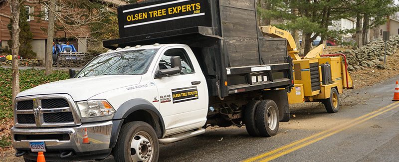 image of the Olsen Tree Experts work truck with wood chipper in the back