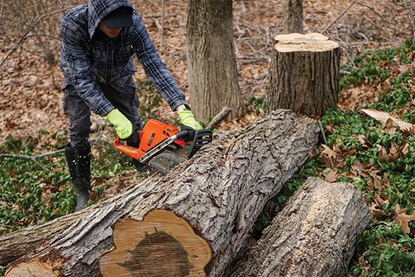 image of a worker cutting up logs
