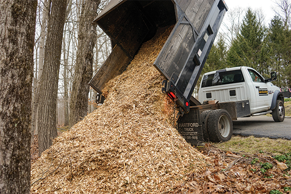 image of a truck dumping wood chips