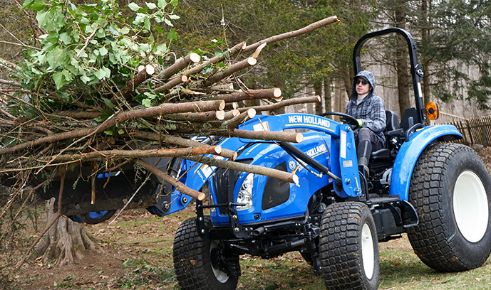 image of worker removing a bundle of trees from property