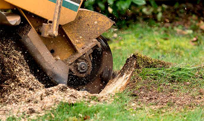 image of a stump grinder grinding down a stump