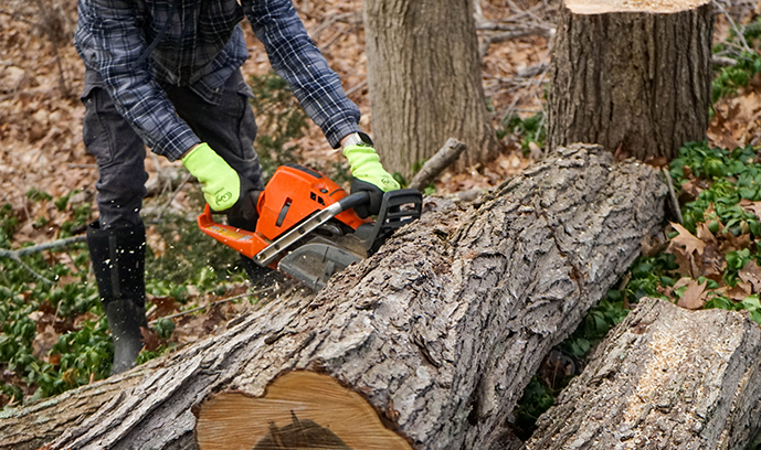 image of worker cutting tree logs with chainsaw